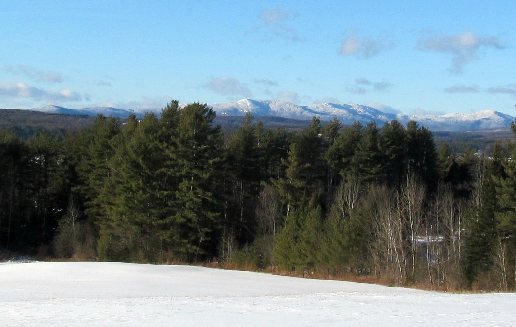 January 2015 Landscape