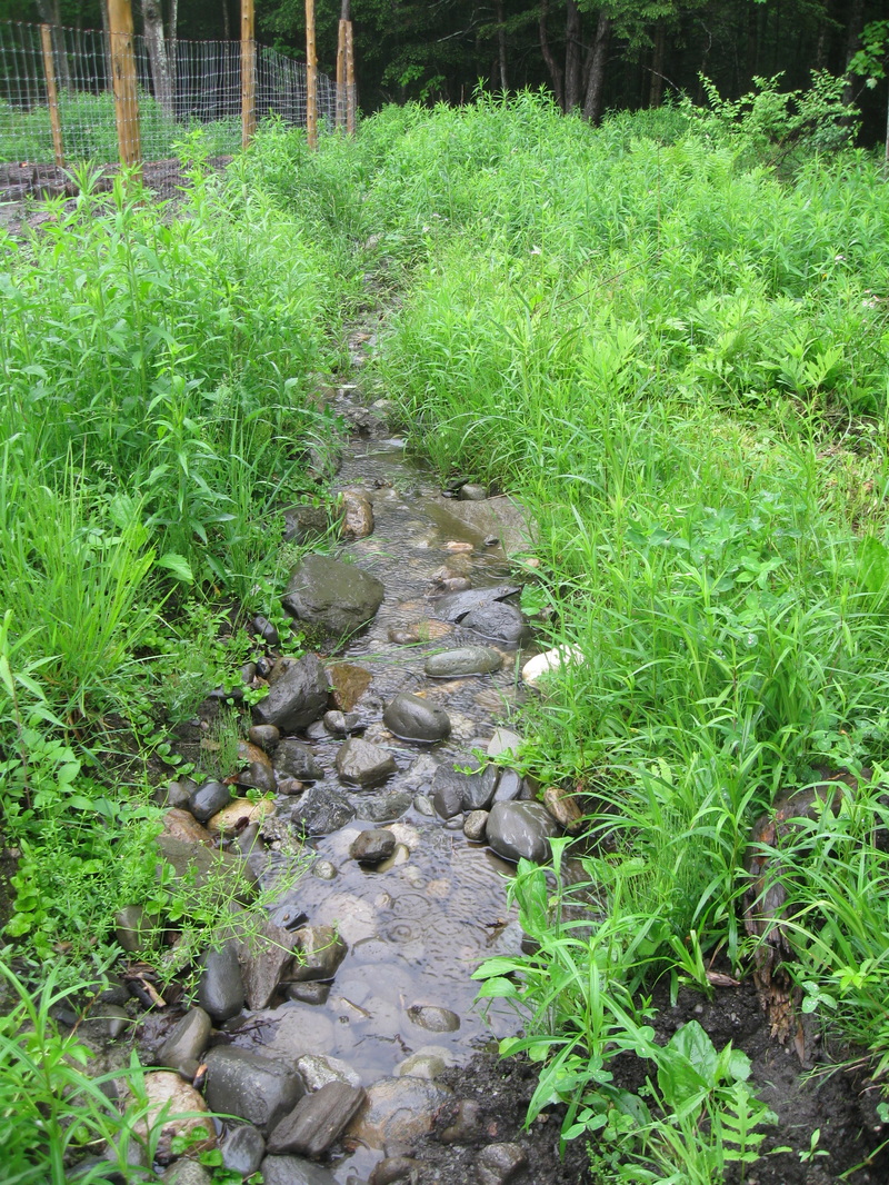 Drainage channeling water out of the annual garden.