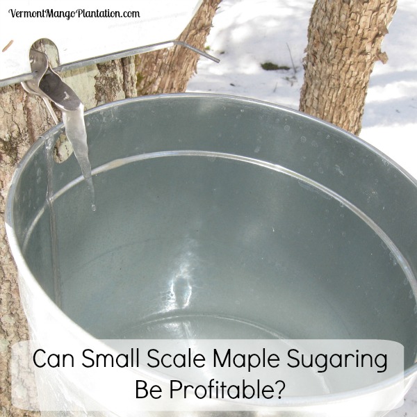 Can Small Scale Maple Sugaring Be Profitable? Can Small Scale Maple Sugaring Be Profitable?