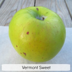 Vermont Sweet Hierloom Apple